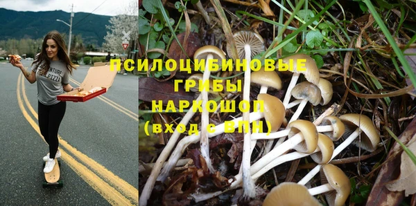 мескалин Нязепетровск
