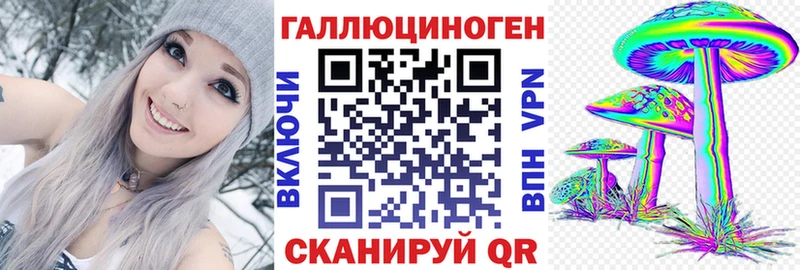 дарнет шоп  Харовск  Псилоцибиновые грибы GOLDEN TEACHER 